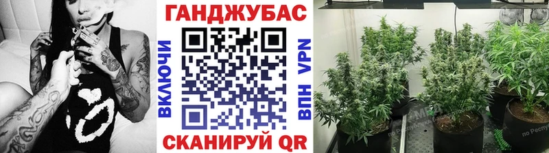 Шишки марихуана гибрид Гусиноозёрск